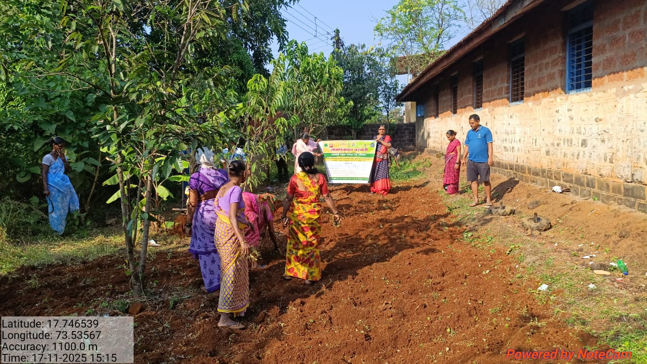 अधिक प्रतिमा 3