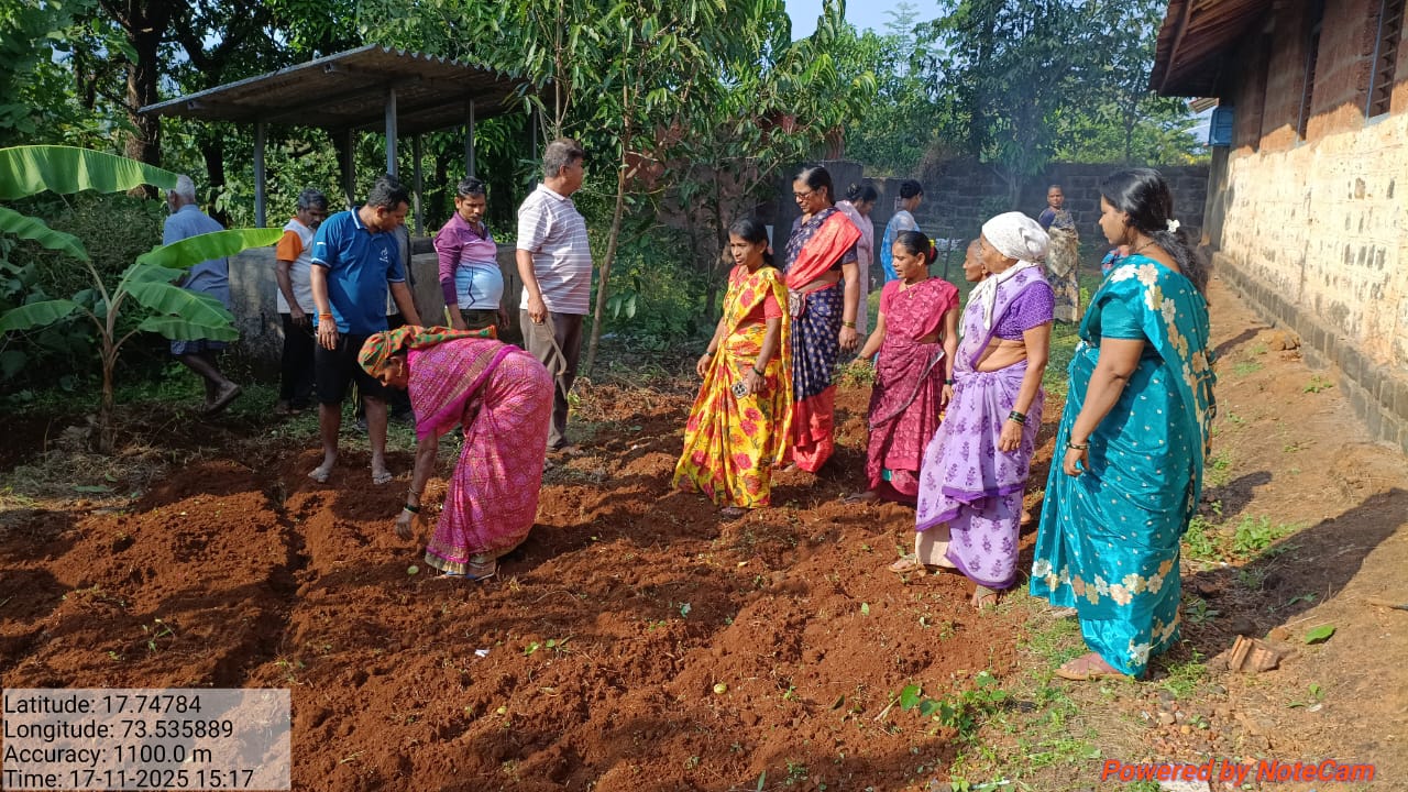 अधिक प्रतिमा 2