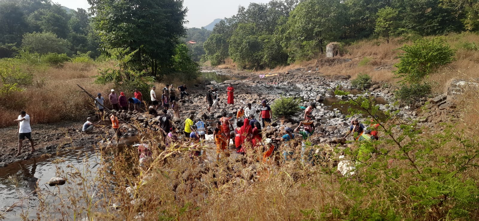 अधिक प्रतिमा 8